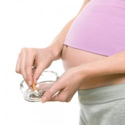 Курение во время беременности является причиной бесплодия у сыновей